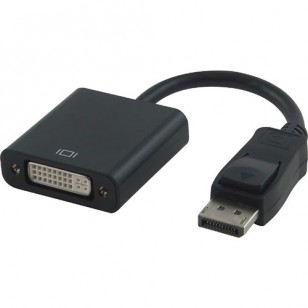 Astrotek DisplayPort to DVI Converter Cable - 15cm